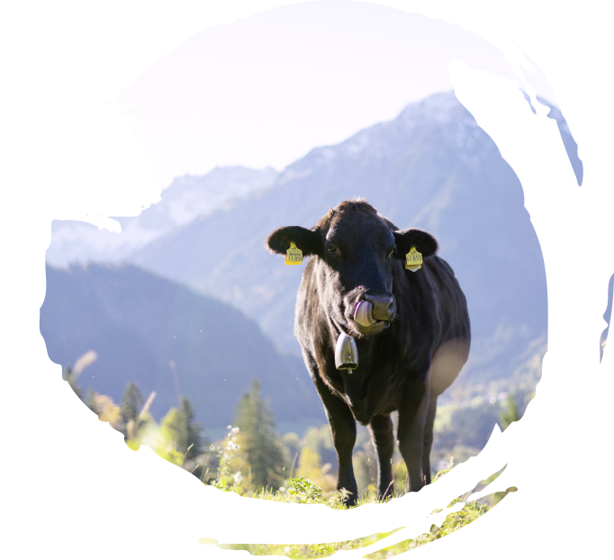 wagyu-bild7